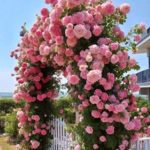 Роза Пастель Розе купить по цене от 605р. в интернет-магазине «Посадика» с доставкой почтой в в Володарске и по всей России – [изображение №1].